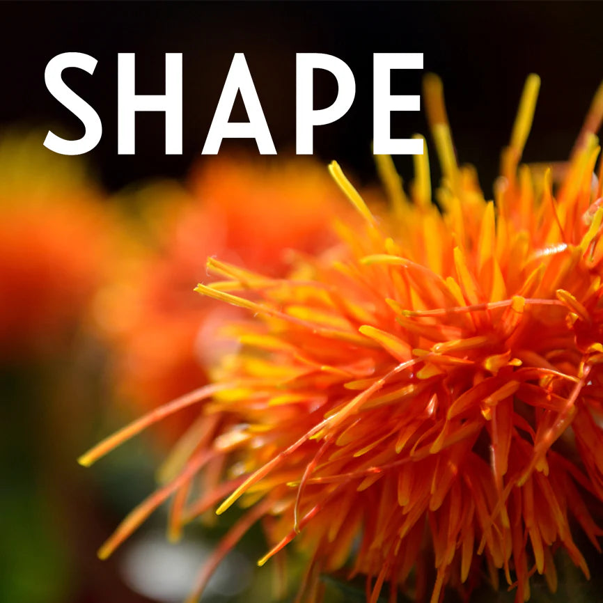 The Perks and Drawbacks of Mineral Oil In Beauty Products