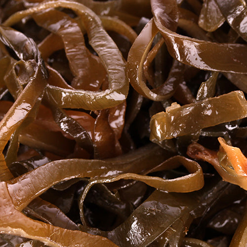 Brown Algae (Laminaria Digitata)