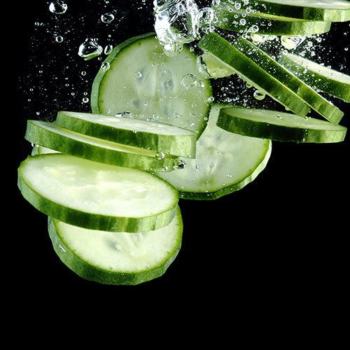 Cucumber Fruit Extract