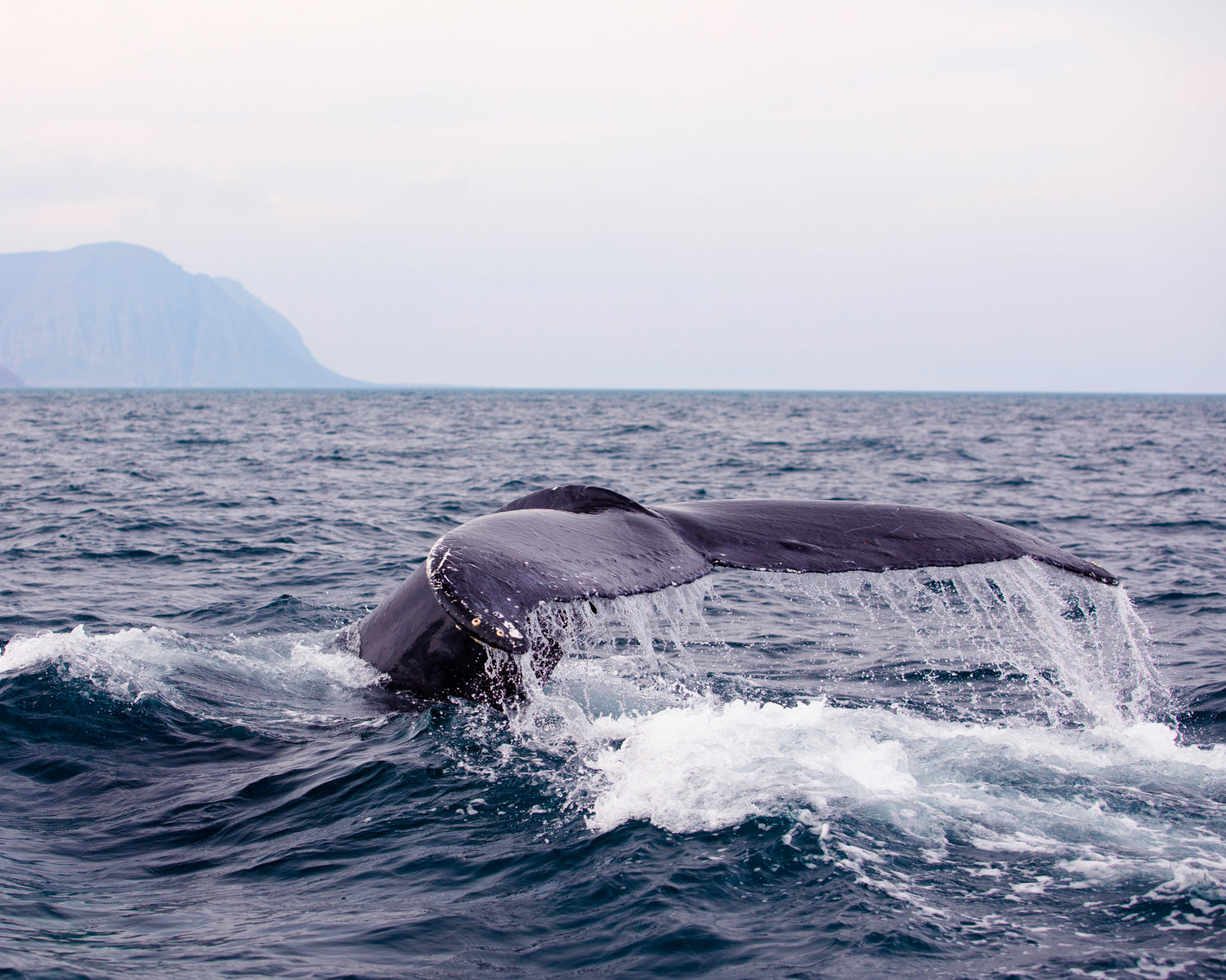 Not just on Earth day, every day!