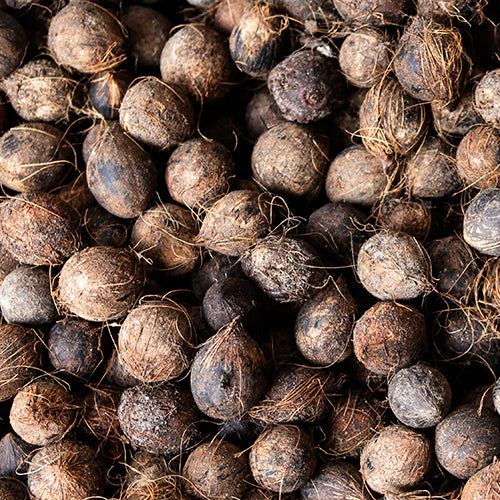 Murumuru Seed Butter