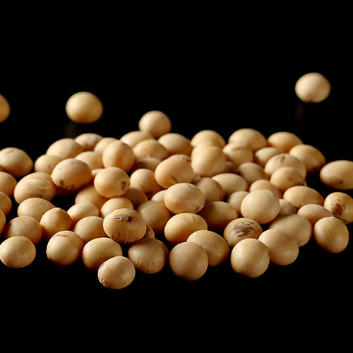 Soy Protein
