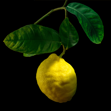 Limonene