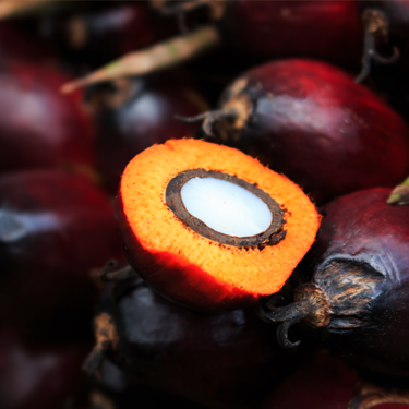 Hydrogenated Palm Oil