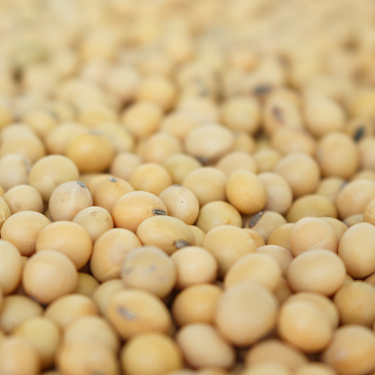 Hydrogenated Soybean Oil