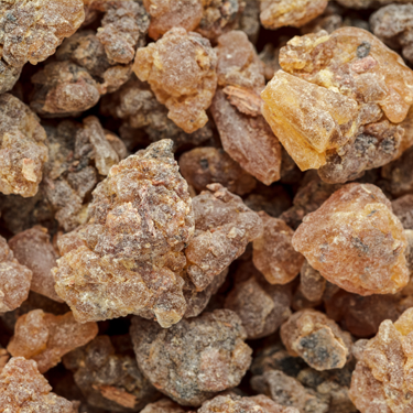 Styrax Benzoin Gum