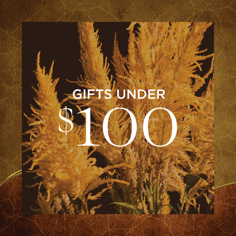 Gifts Under $100